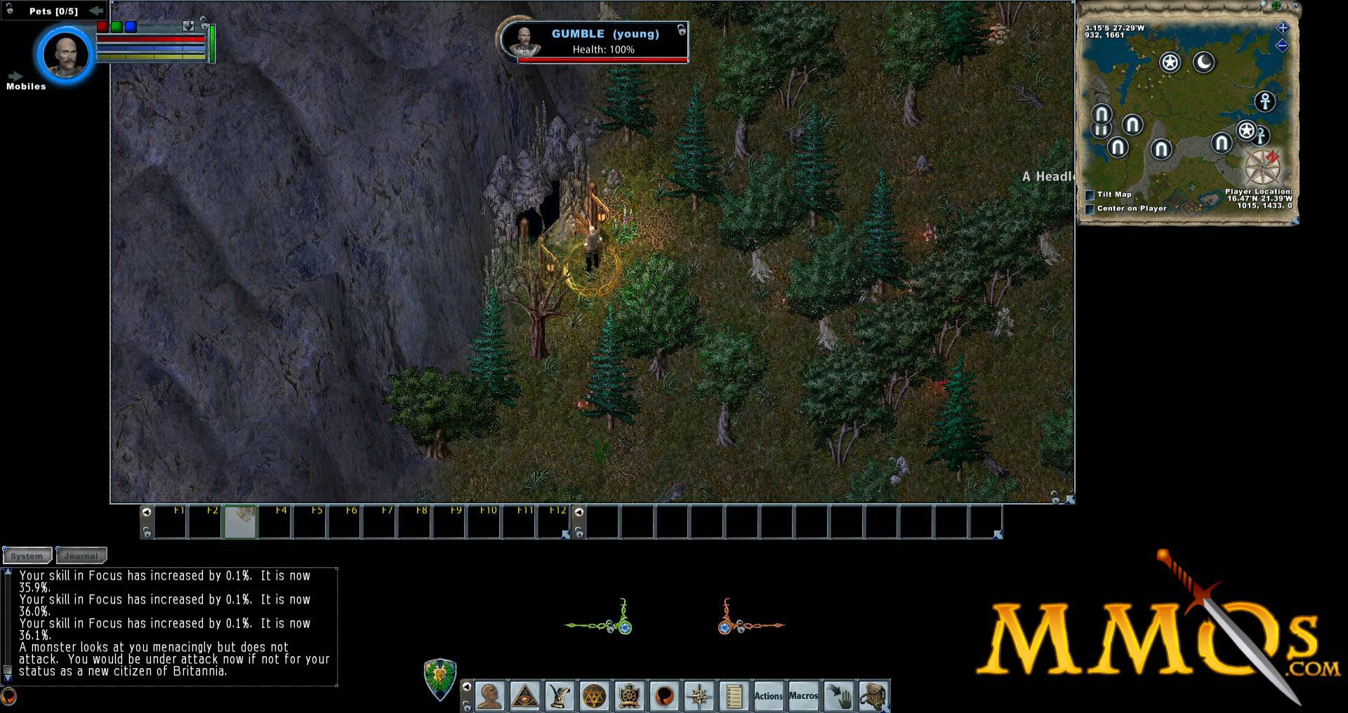 Ultima-Online-cave