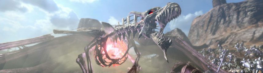 kingdom-under-fire-2-bone-dragon-banner