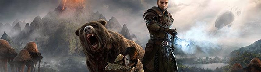 elder scrolls online warden