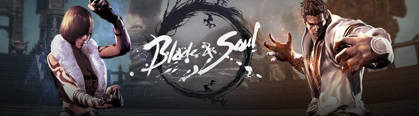 blade and soul pvp