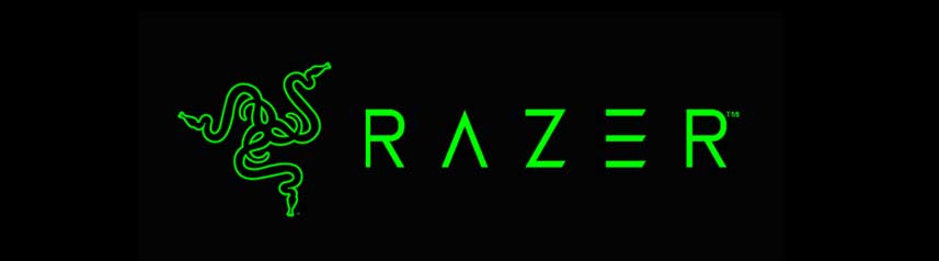 razer neon green logo banner