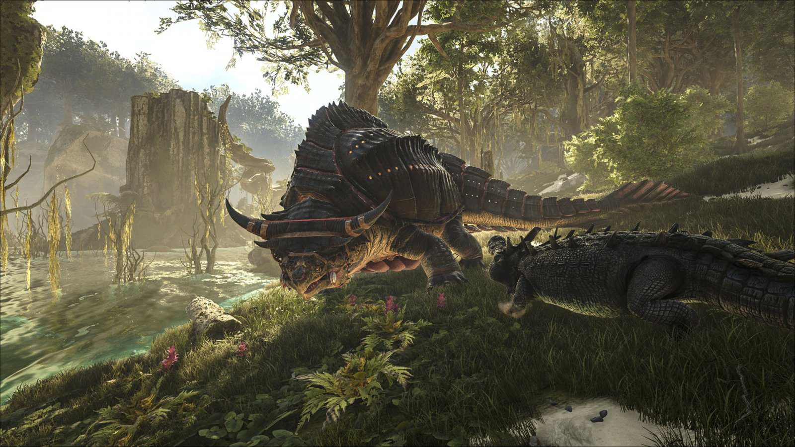 atlas giant tortuga alligator