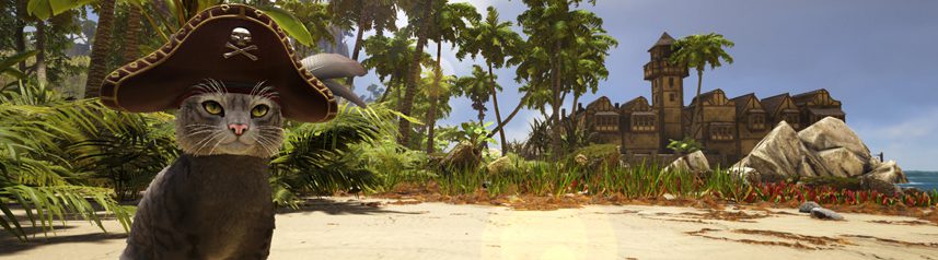 atlas cat pirate hat banner