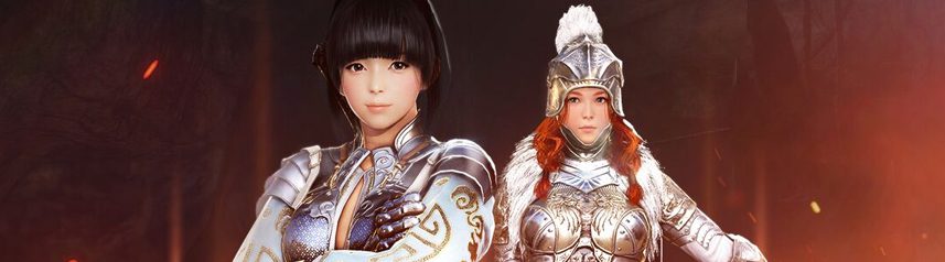 black desert online valkyrie tamer succession banner