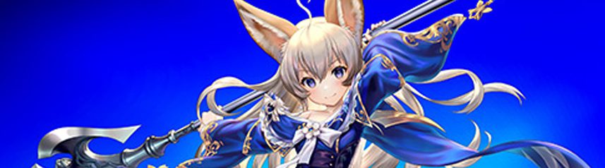 tera elin valkyrie art banner