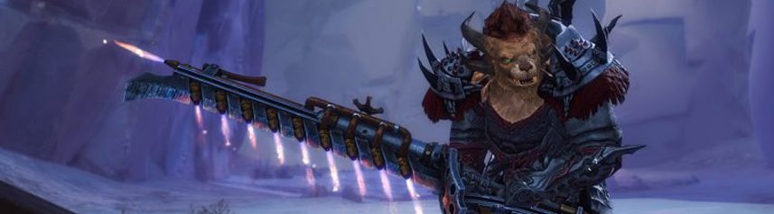 guild wars 2 ryland art banner