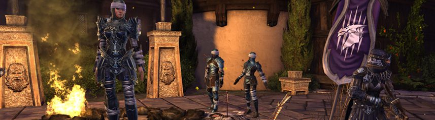 neverwinter cult of the dragon banner