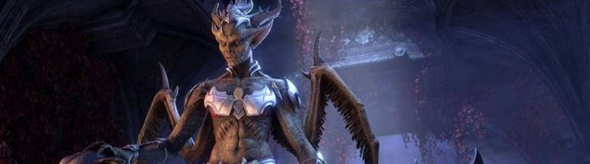elder scrolls online lady thorn banner