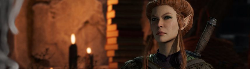 baldurs gate 3 female elf banner