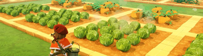 craftopia vegetable patch banner