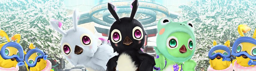phantasy star online 2 rappy outfits banner