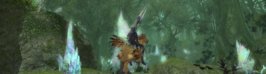 final fantasy xiv chocobo forest banner