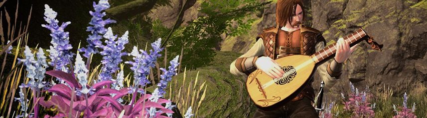 neverwinter bard mandolin banner