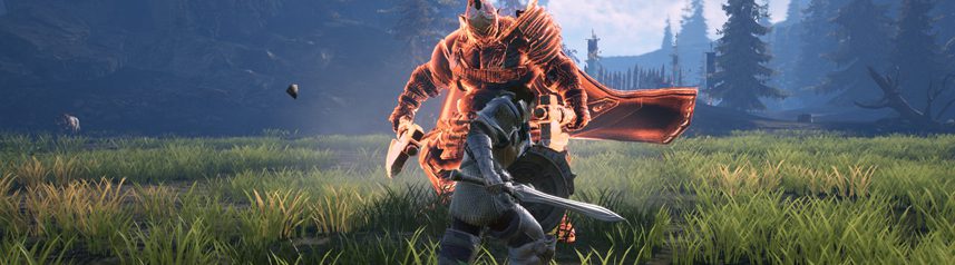 bless unleashed sword and shield banner