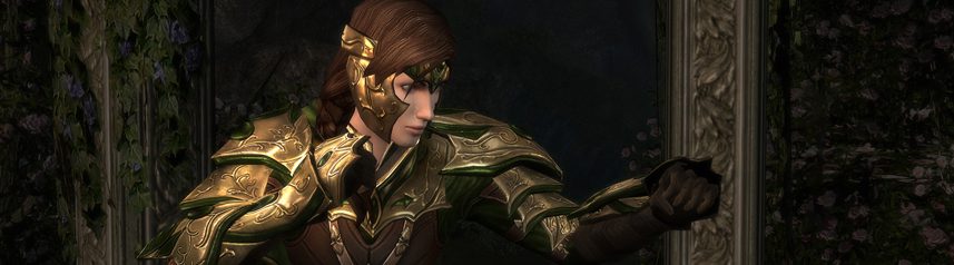 lord of the rings online female brawler banner