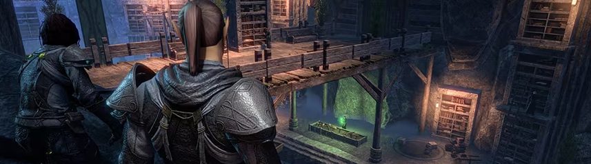elder scrolls online fantasy mmorpg library sneaking