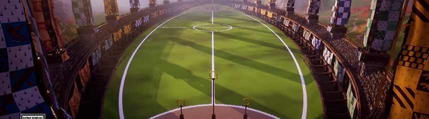 harry potter quidditch champions pitch