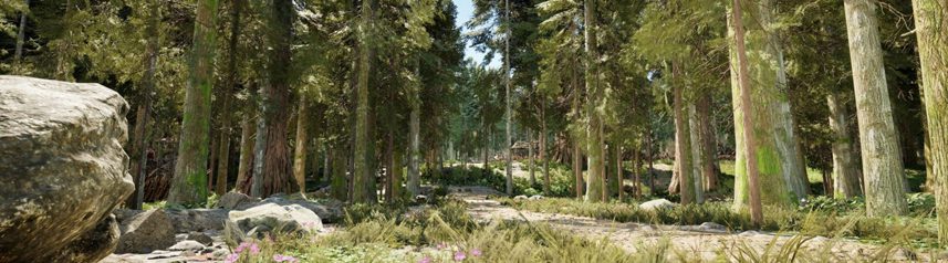 mortal online 2 pine forest banner