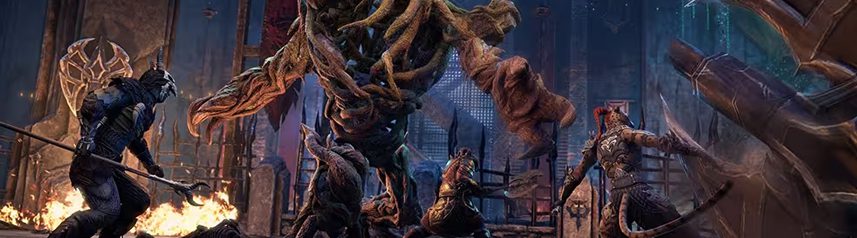 elder scrolls online oathsworn pit banner