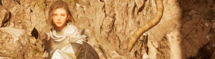 vindictus defying fate fiona banner